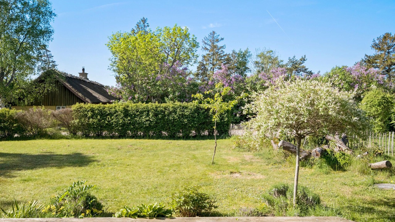 Photo of Others in Hoensinge