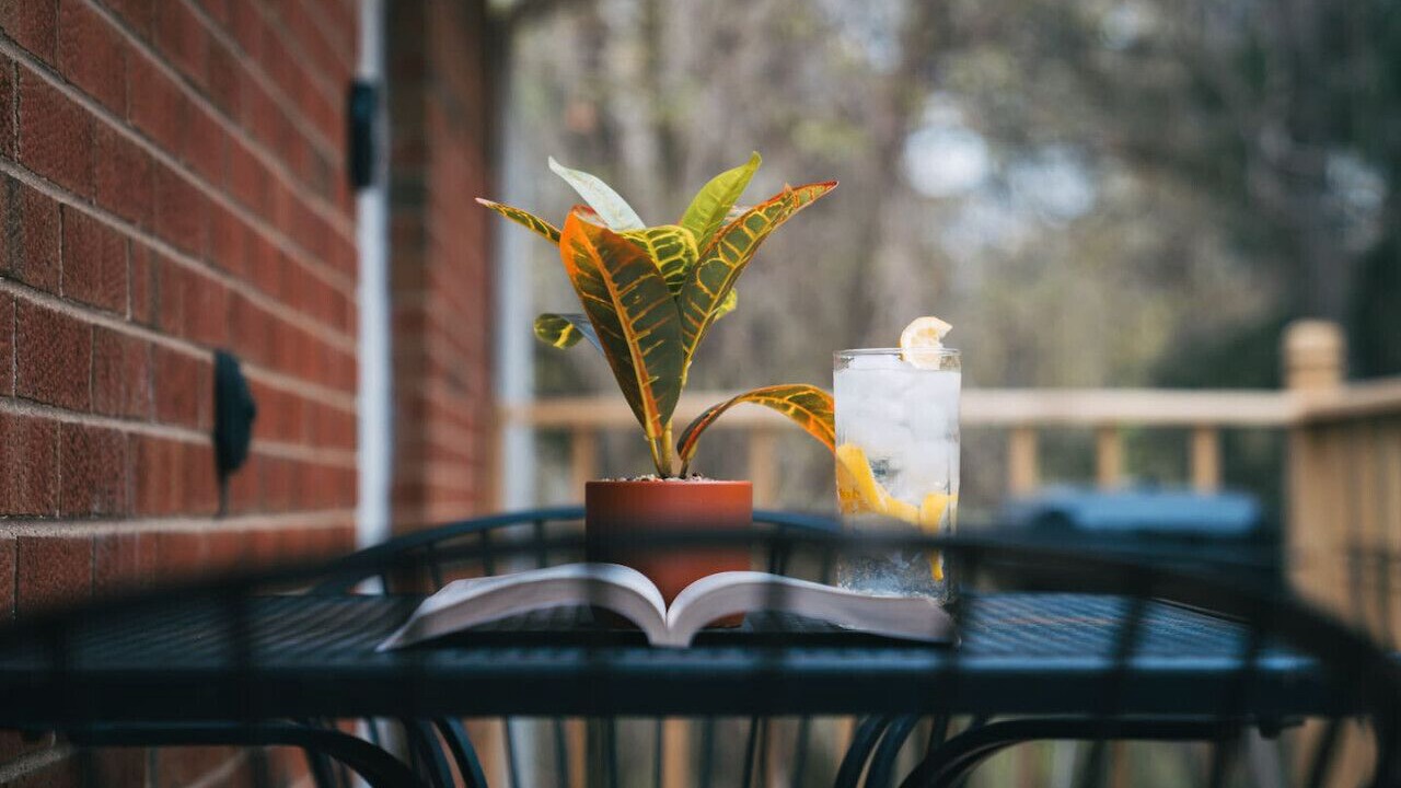 Photo of Outdoor in Miller Beach