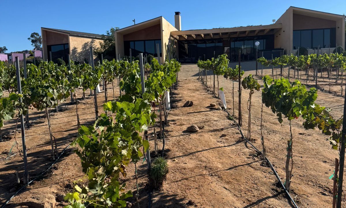 Photo of Outdoor in Valle de Guadalupe