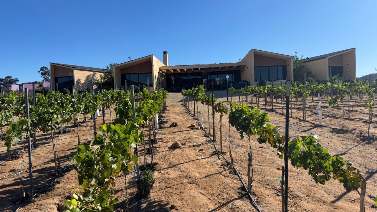 Photo of Outdoor in Valle de Guadalupe