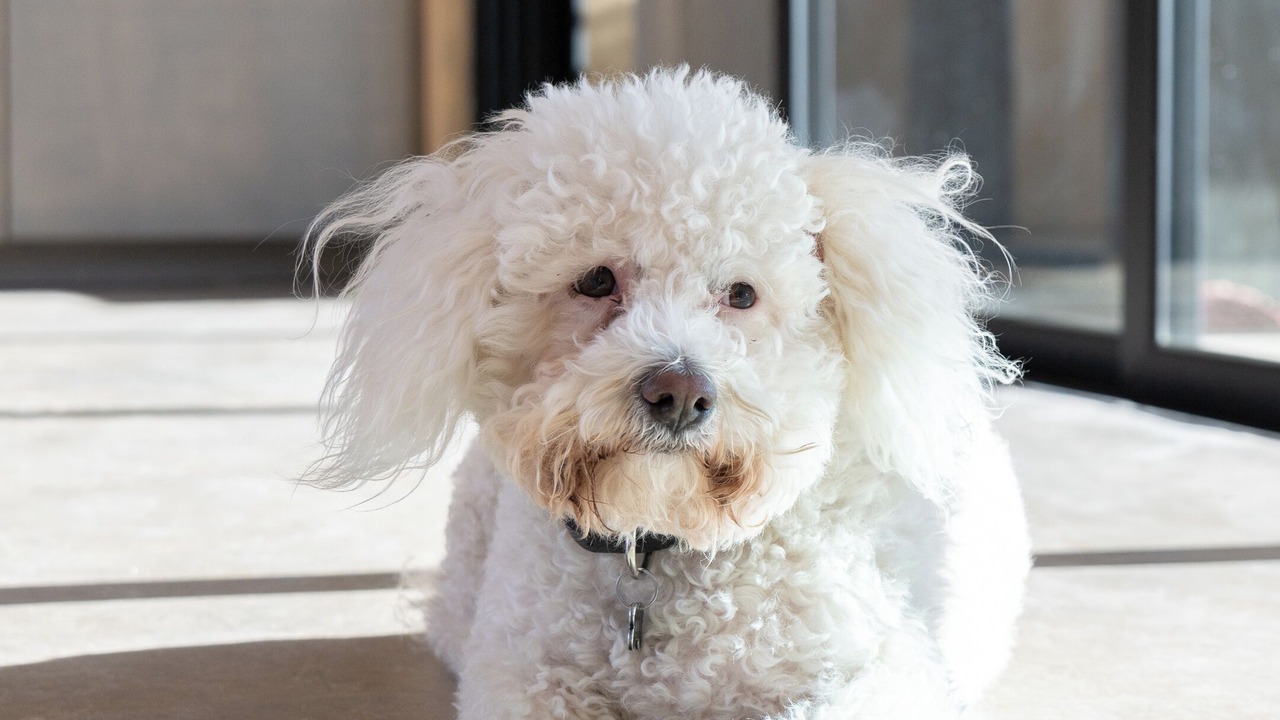 Photo of Others in Valle de Guadalupe