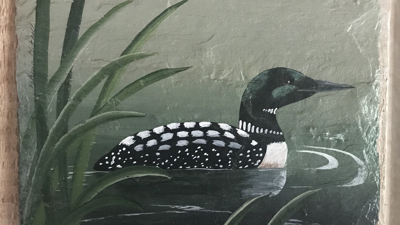 Photo of Outdoor in Lunenburg