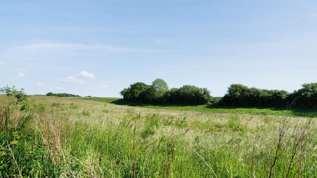 Photo of Bedroom in Fynshav