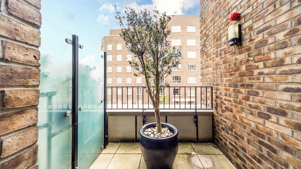 Photo of Others in Thames