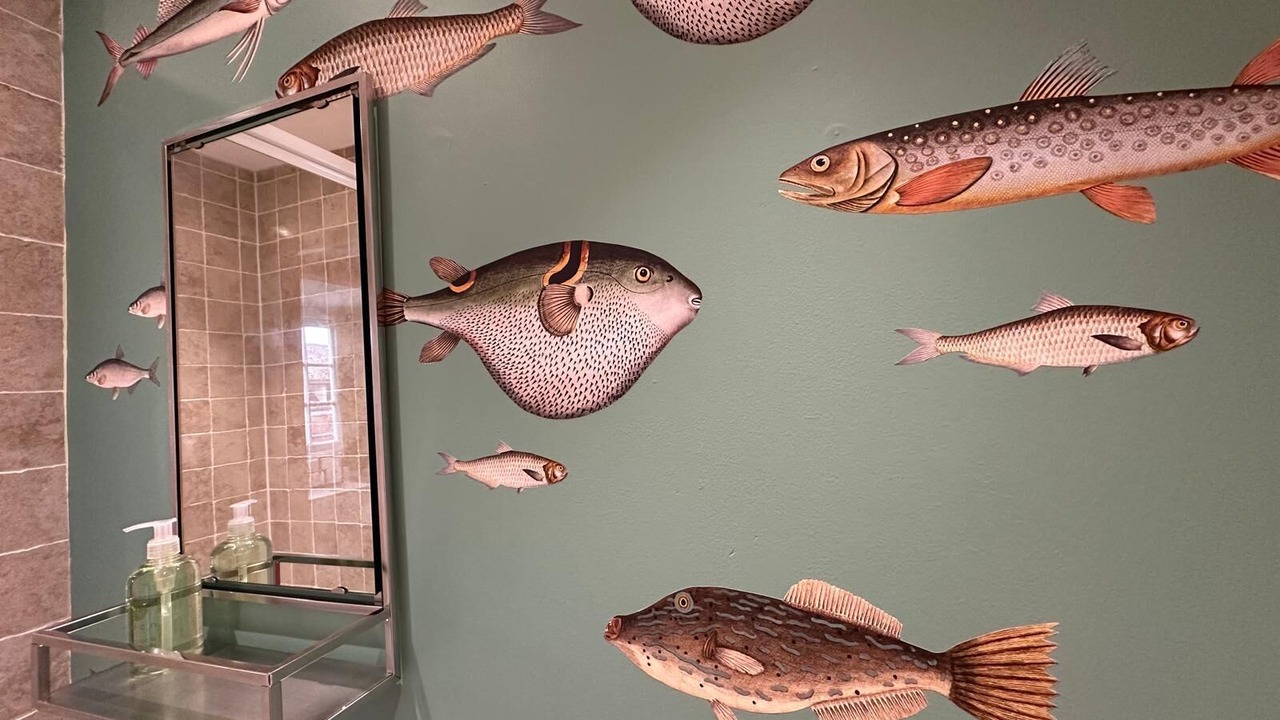 Photo of Others in Bishops Waltham