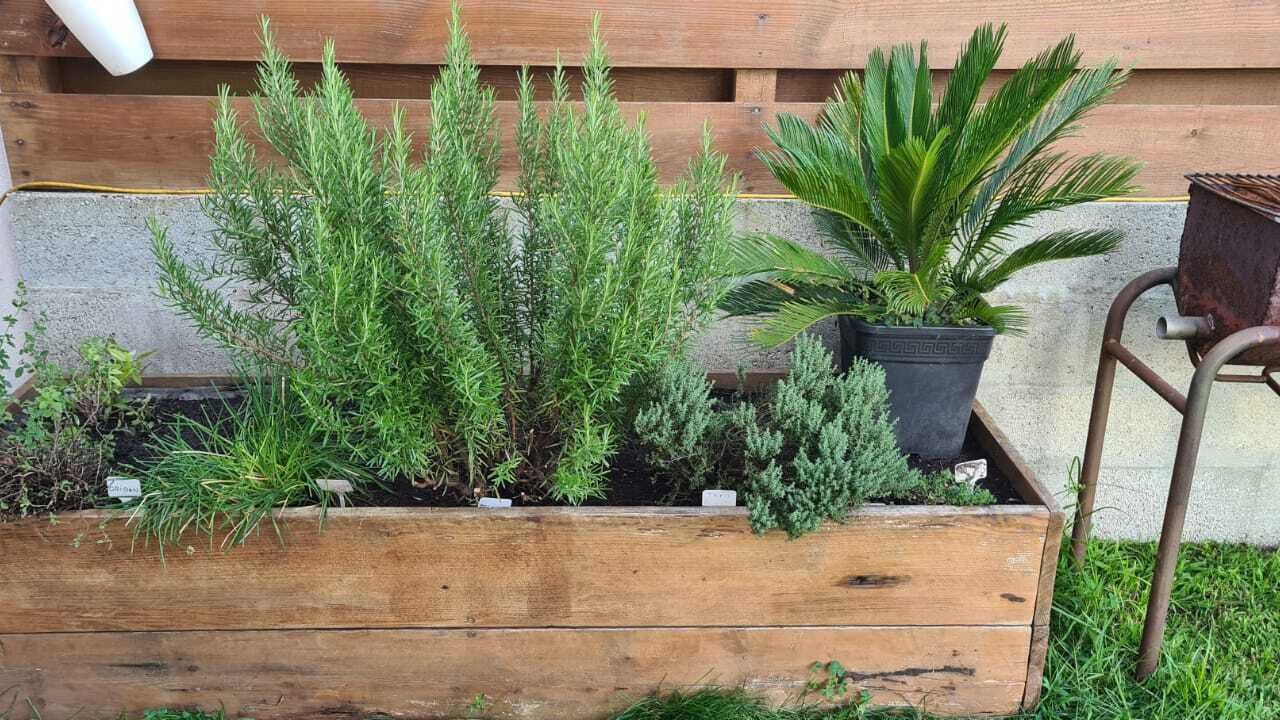 Photo of Outdoor in Benesse-Maremne