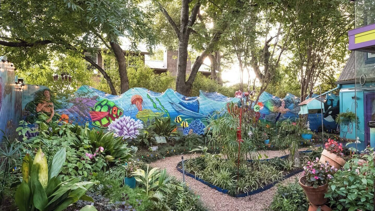 Photo of Outdoor in Zilker