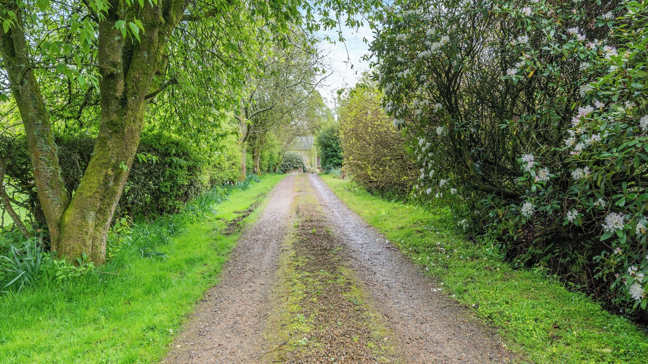 Photo of Others in Haltwhistle