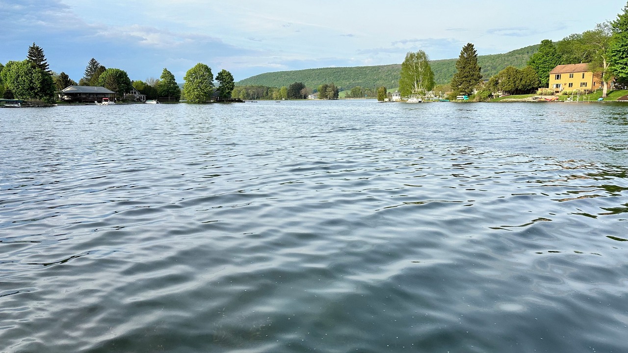 Photo of Others in Homer