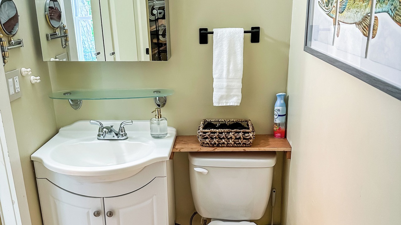 Photo of Bathroom in Homer