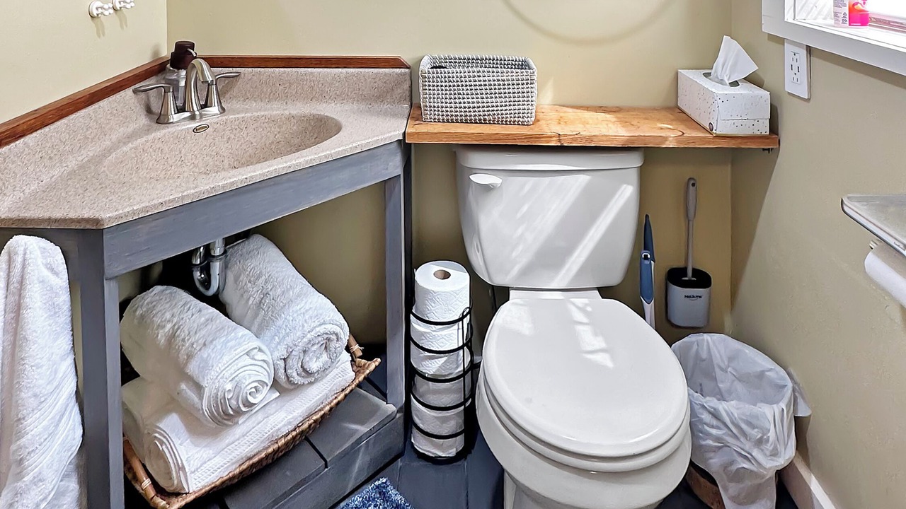 Photo of Bathroom in Homer