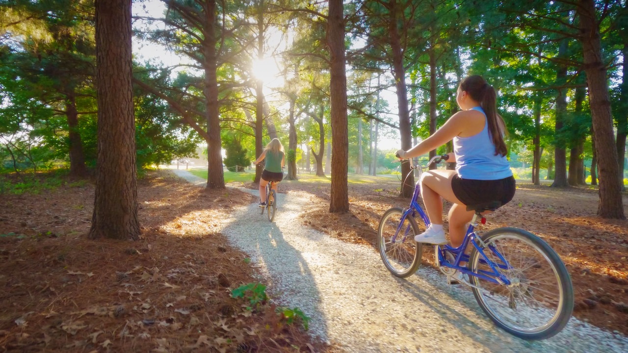 Photo of Others in Cape Charles