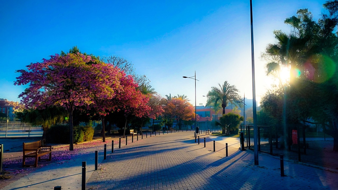 Photo of Others in Murcia