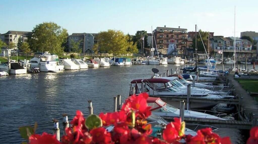 Photo of Others in South Haven