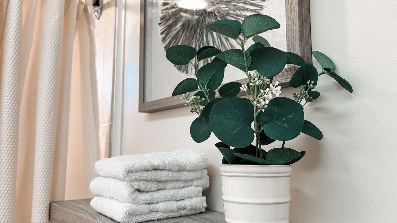 Photo of Others in Barre