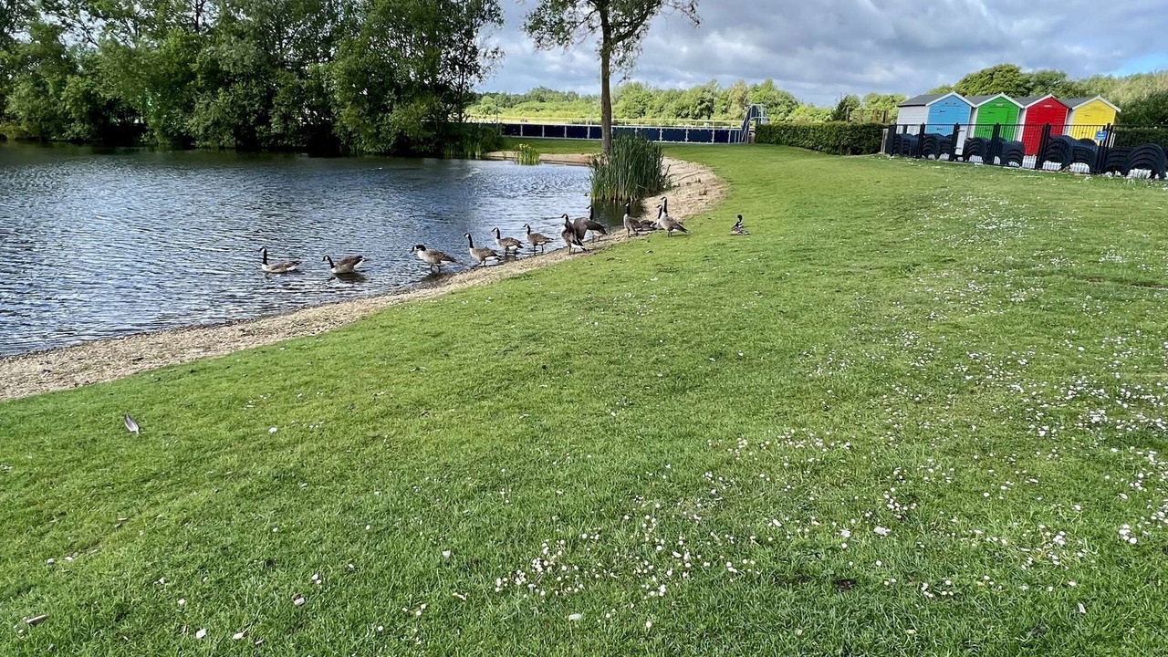 Photo of Others in South Cerney