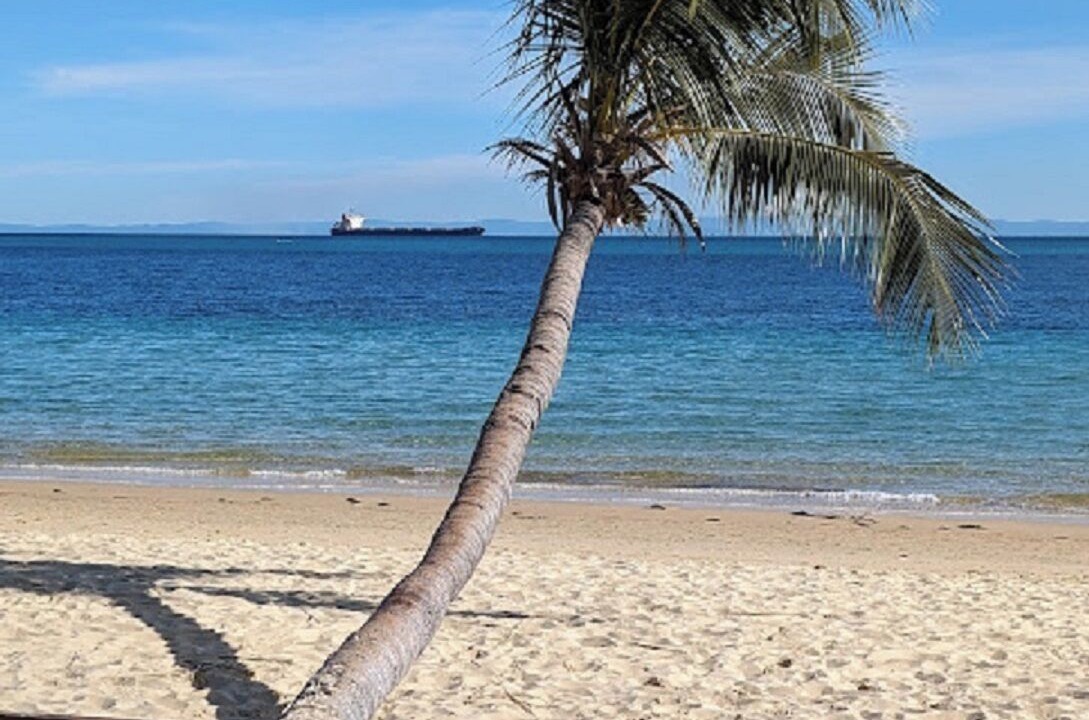 Photo of Others in Brisbane Waterfront
