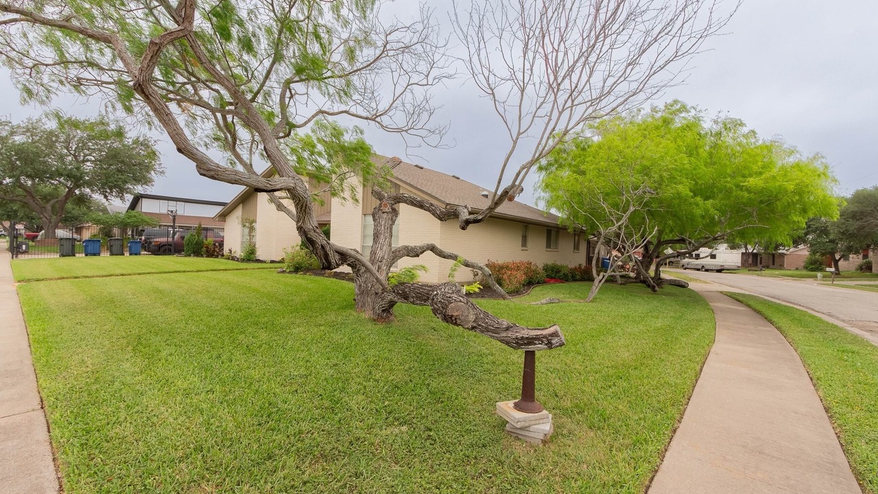 Photo of Outdoor in South Side