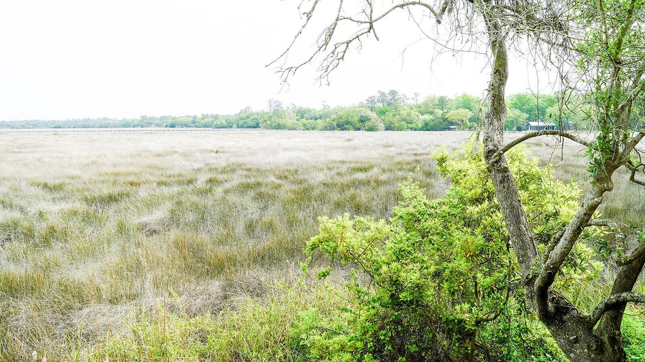 Photo of Bedroom in Saint Simons Heights