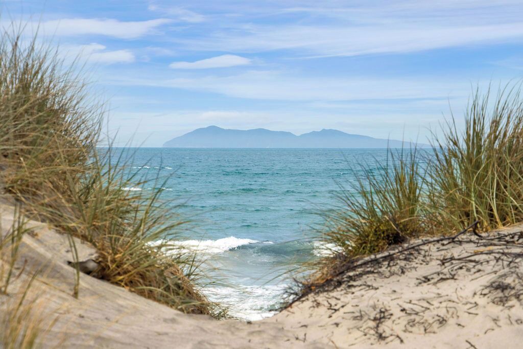 Photo of Others in Waihi Beach