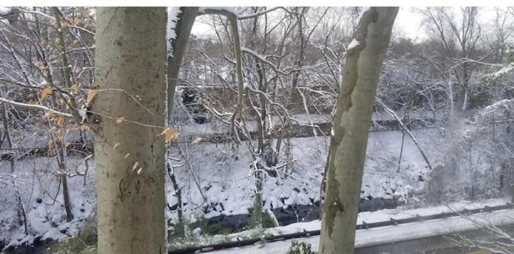 Photo of Others in Valley Run