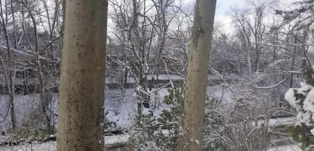 Photo of Others in Valley Run