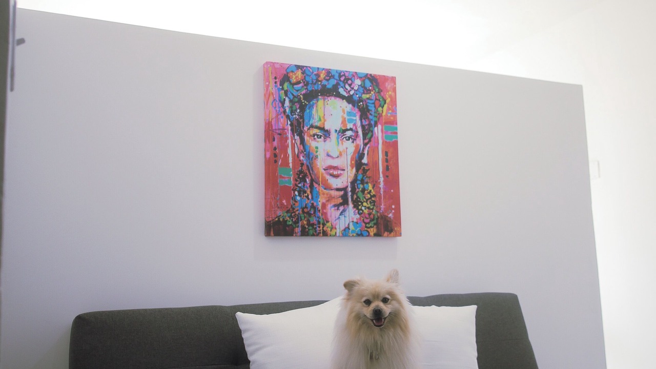 Photo of Others in Zona Centro