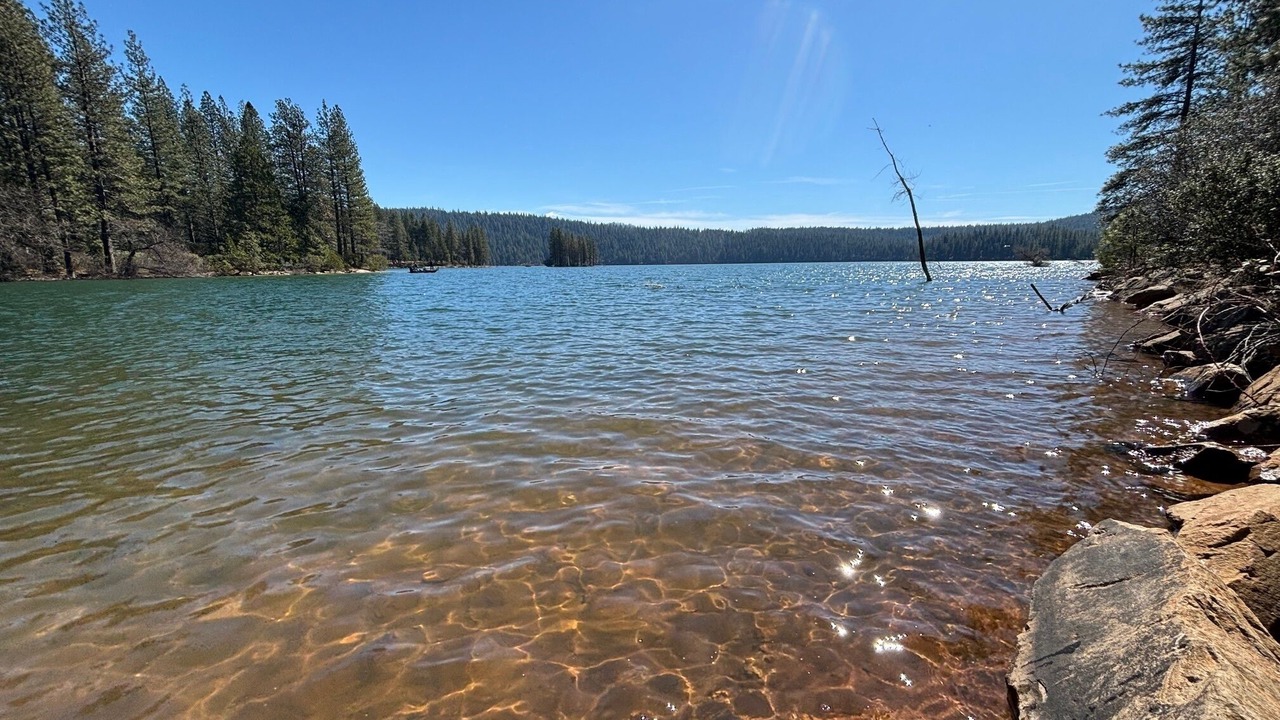 Photo of Others in Pollock Pines
