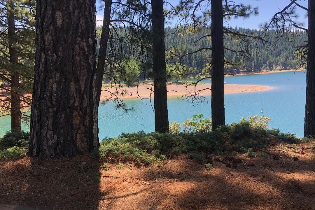 Photo of Others in Pollock Pines