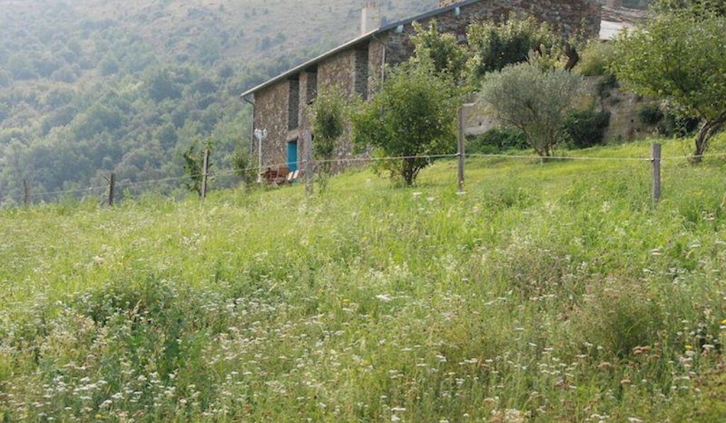 Photo of Outdoor in Souanyas