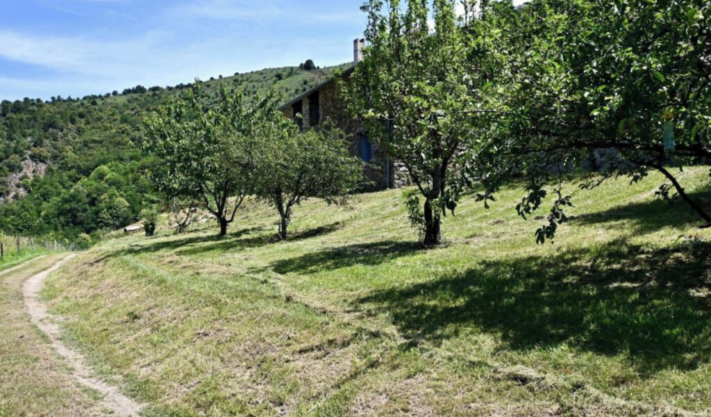 Photo of Outdoor in Souanyas
