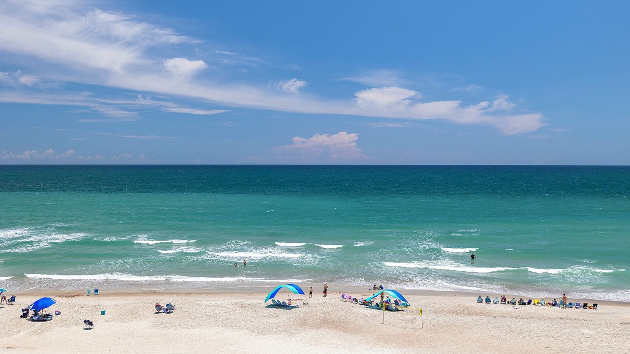 Photo of Others in Indian Beach