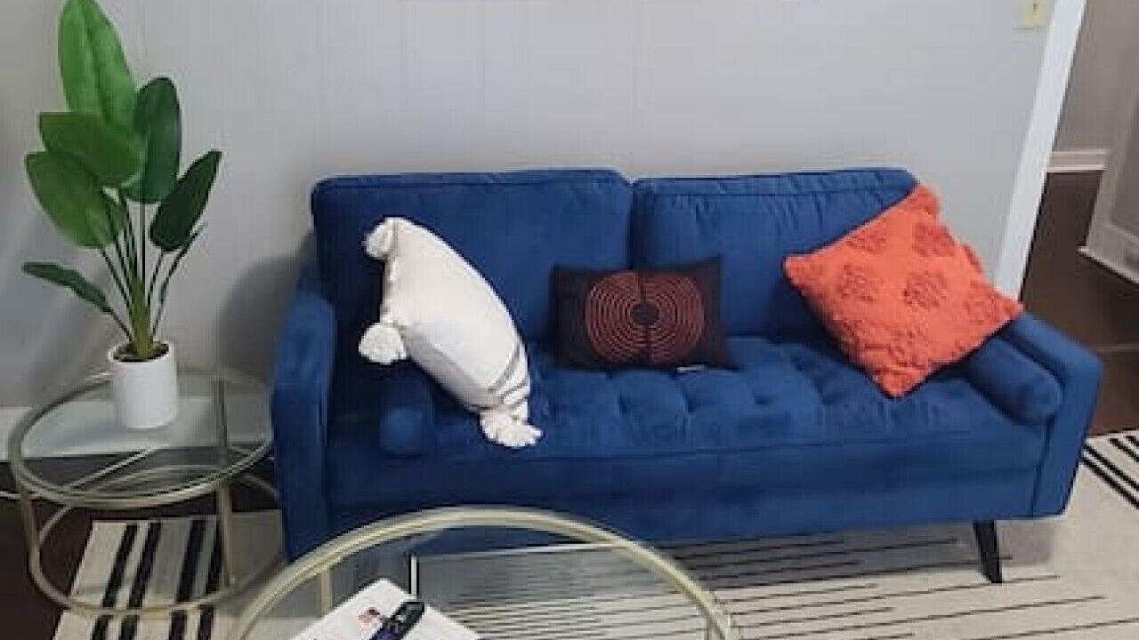 Photo of Livingroom in Appleton