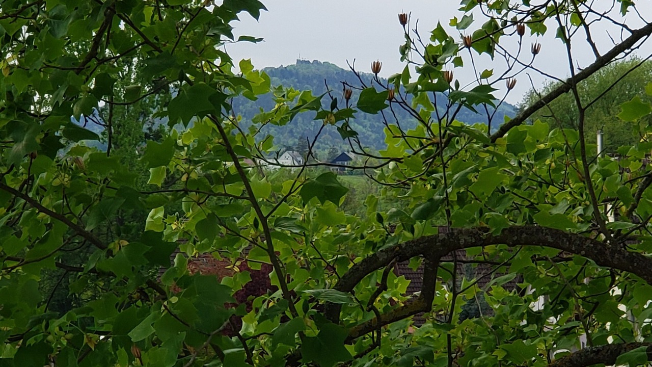 Photo of Others in Monswiller