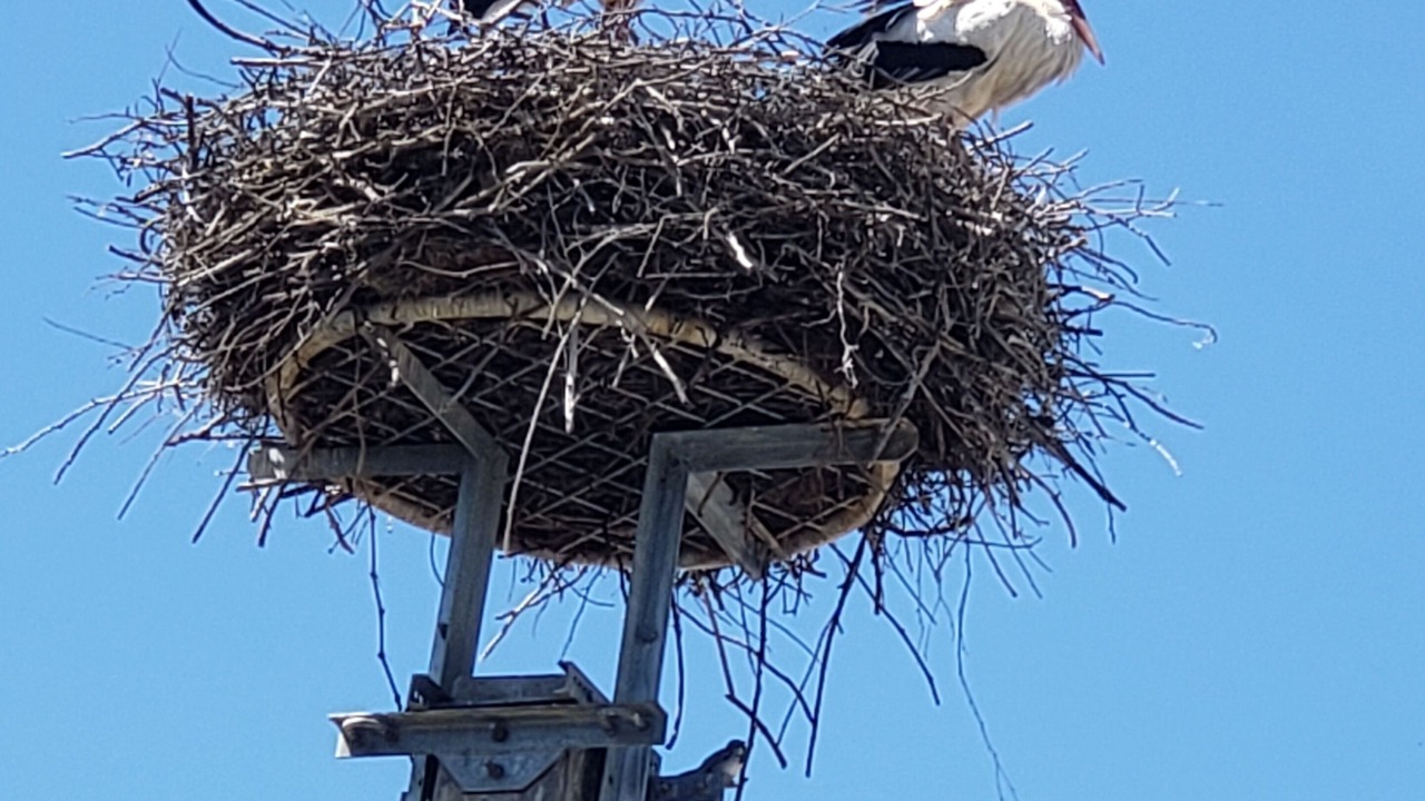 Photo of Others in Monswiller