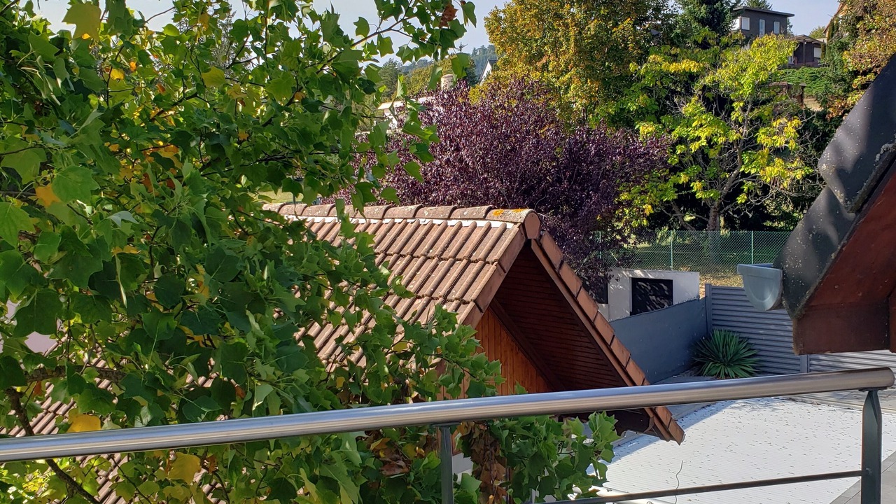 Photo of Outdoor in Monswiller