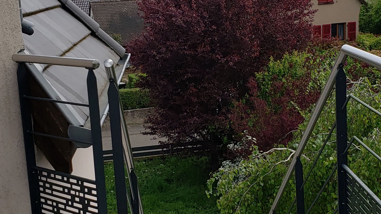 Photo of Outdoor in Monswiller