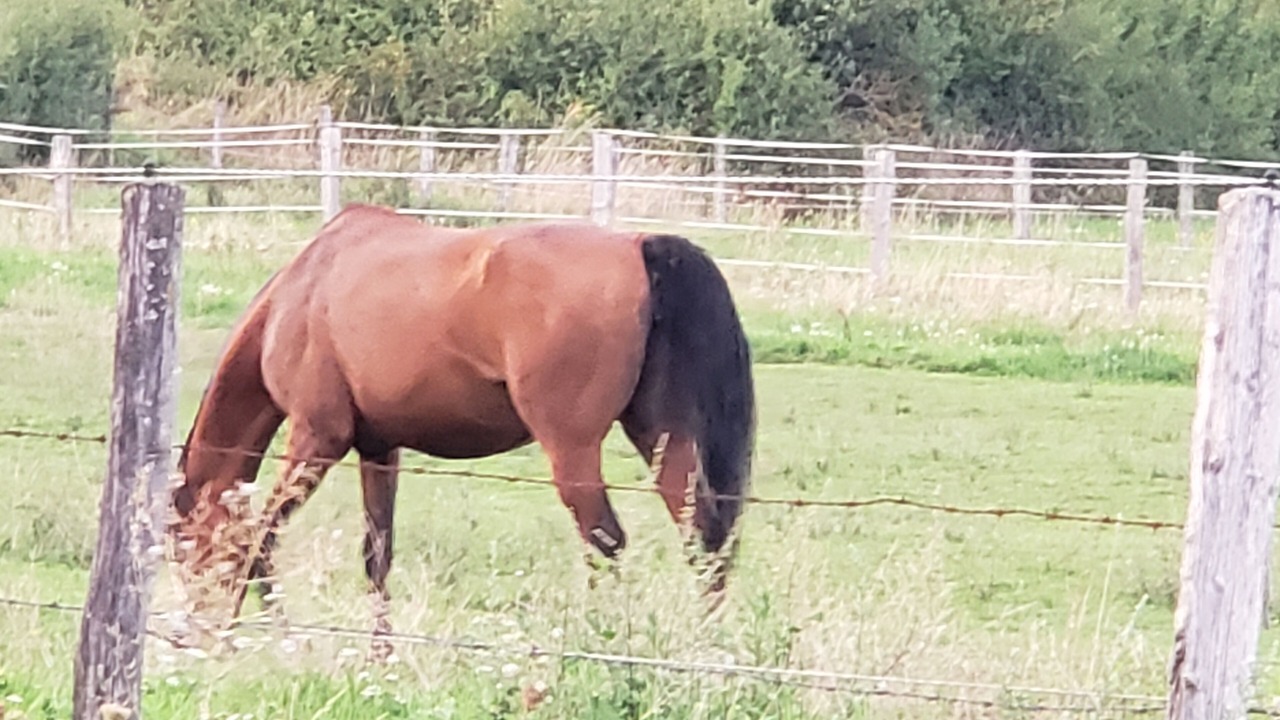 Photo of Others in Monswiller