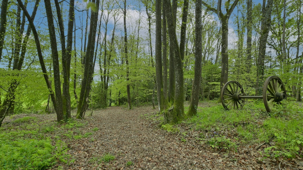 Photo of Outdoor in La Haie-Traversaine