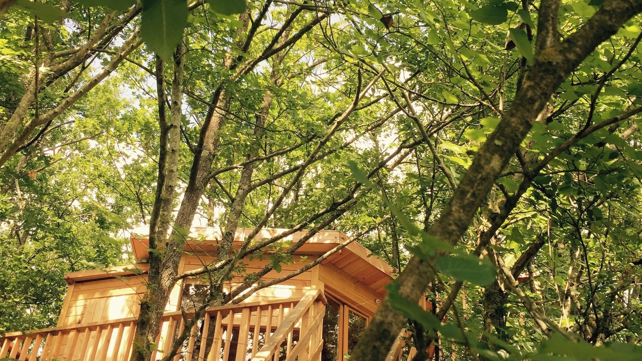 Photo of Outdoor in Saint-Victor-Rouzaud