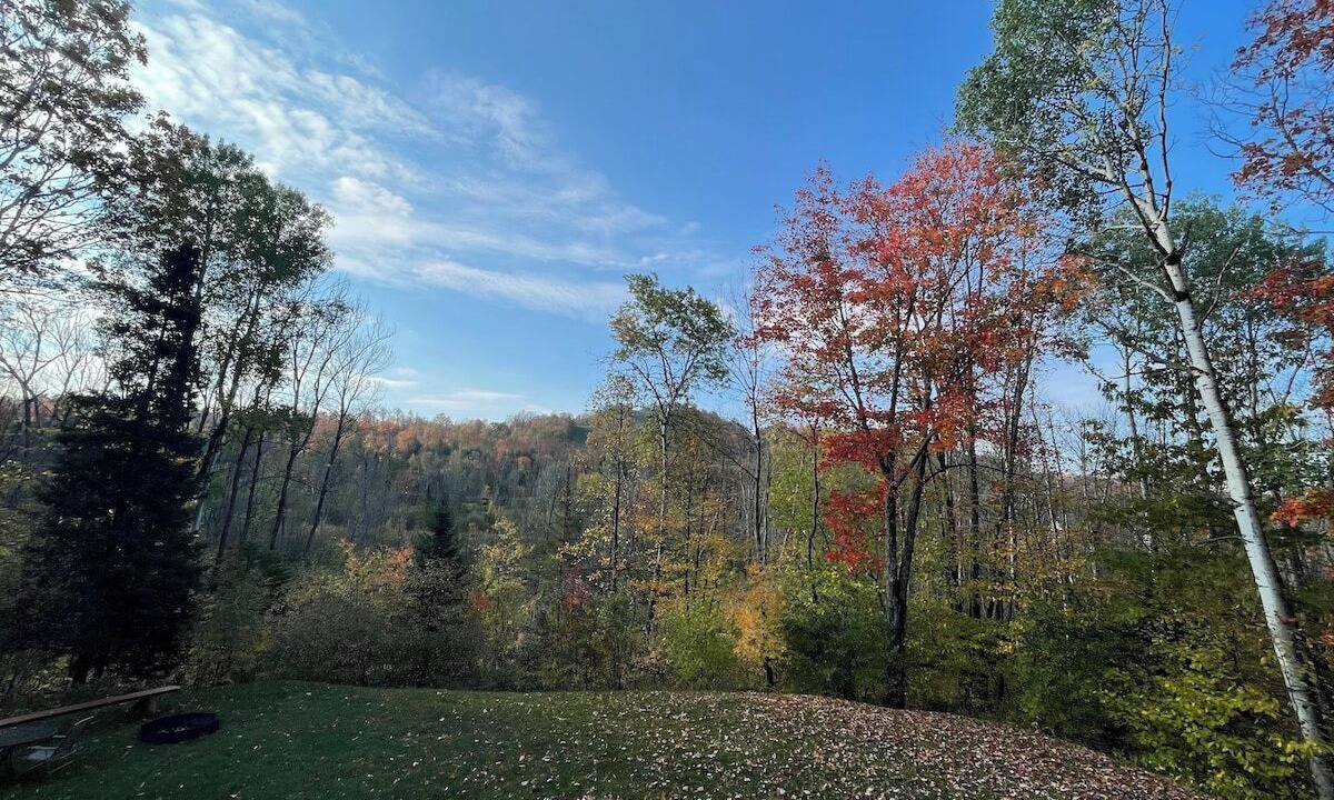 Photo of Outdoor in Bessemer