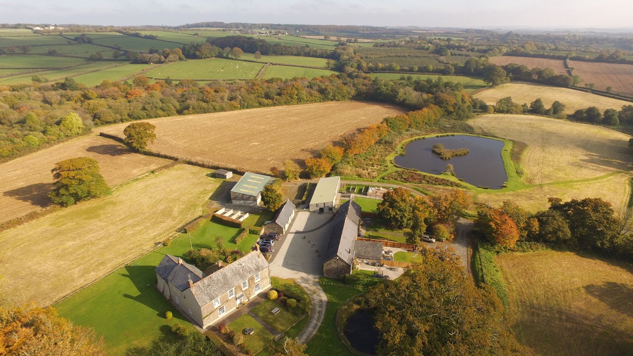 Photo of Others in Black Torrington