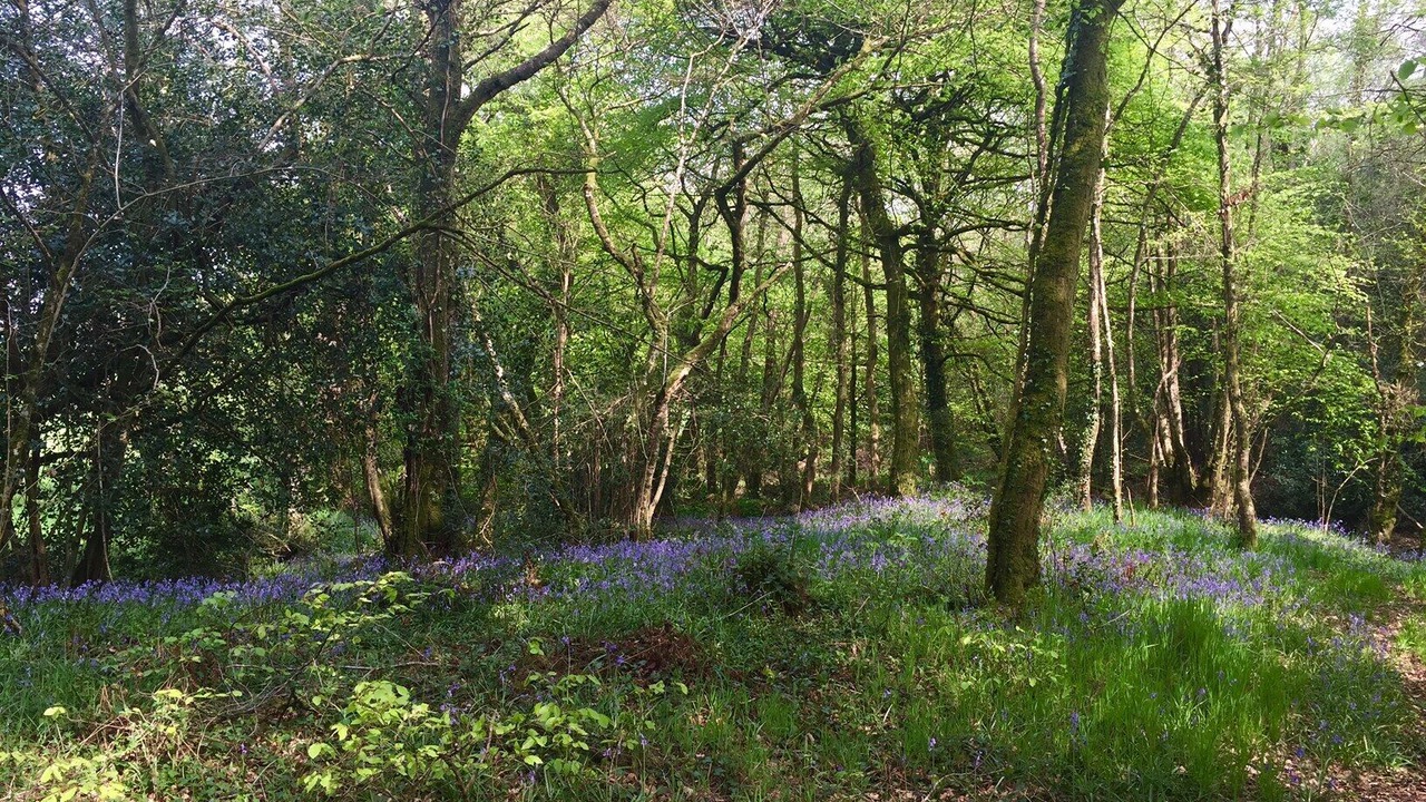 Photo of Others in Black Torrington