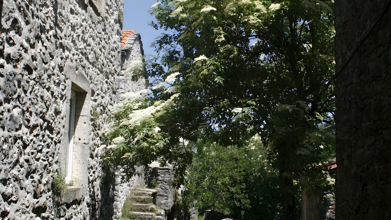 Photo of Outdoor in Vissec