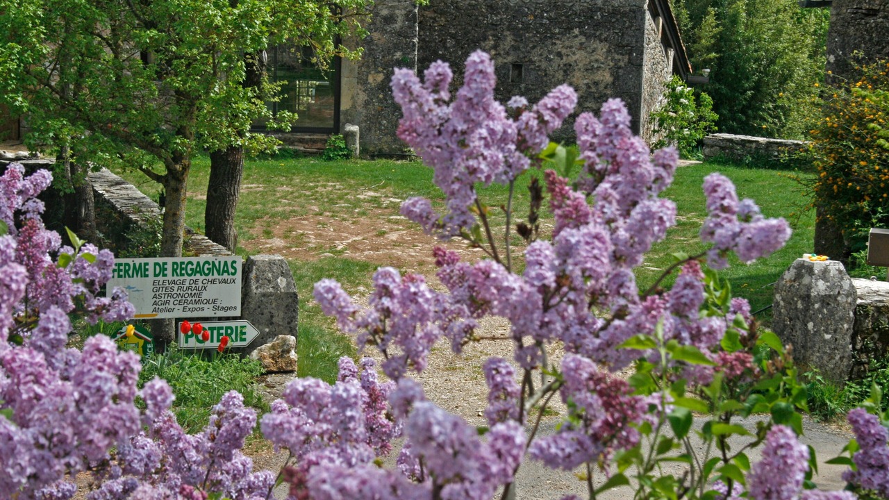 Photo of Outdoor in Vissec
