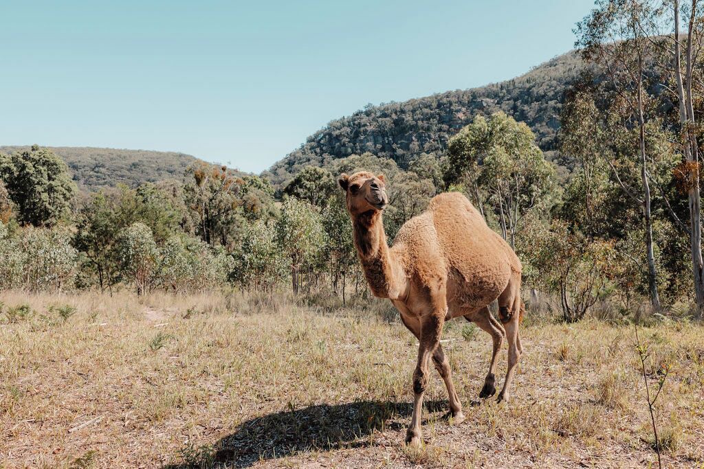 Photo of Outdoor in Coxs Crown