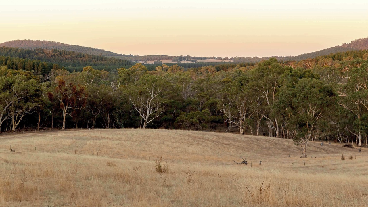 Photo of Others in Mount Crawford