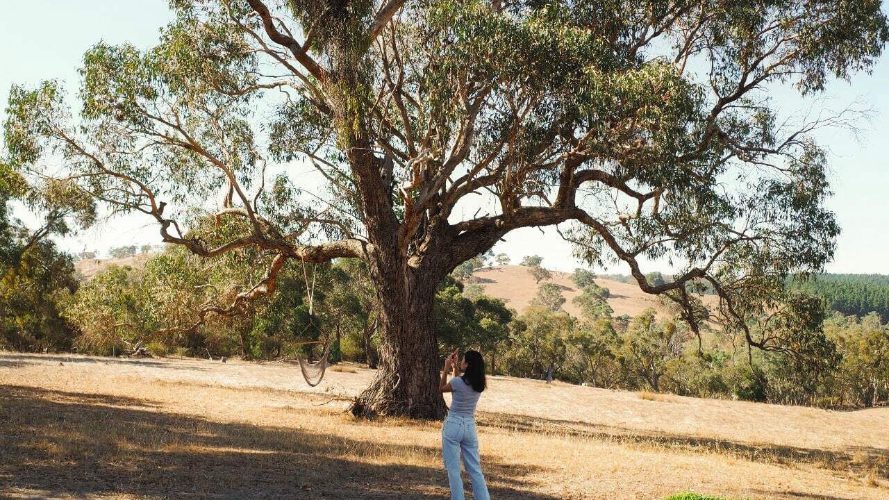 Photo of Outdoor in Mount Crawford