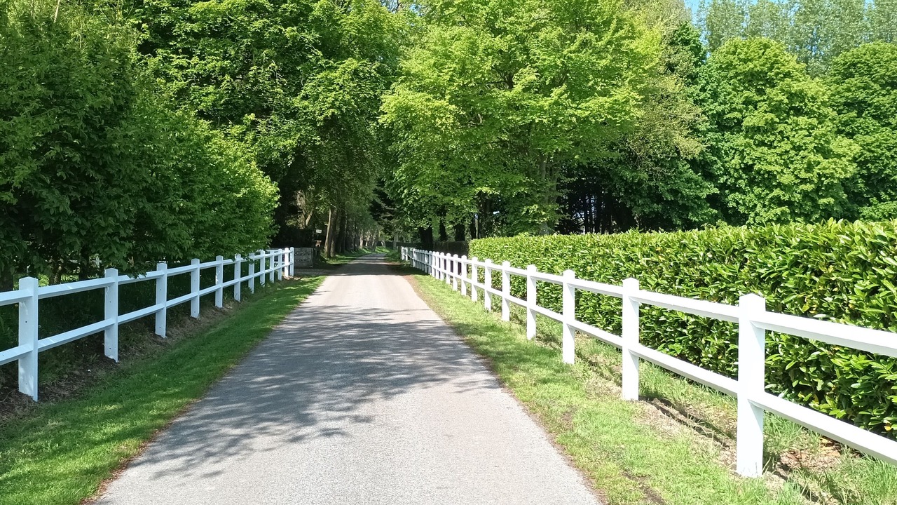 Photo of Outdoor in Sainte-Marguerite-sur-Mer