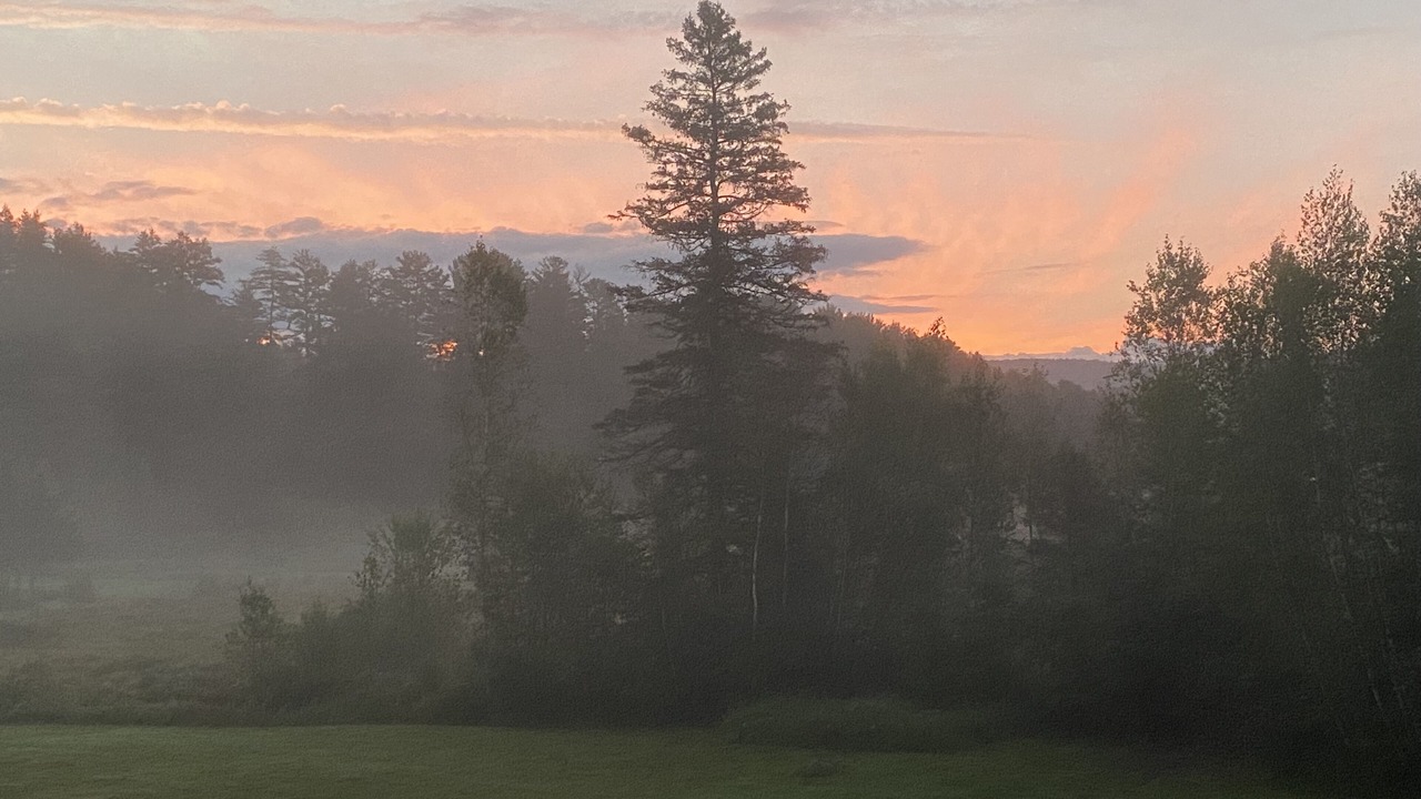 Photo of Outdoor in Littleton